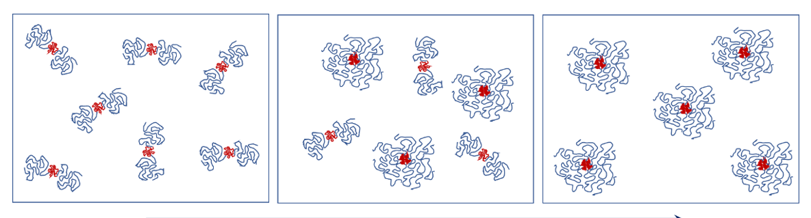 Excipients Excipients
