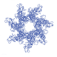 Protein(2)