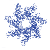 Protein(2)