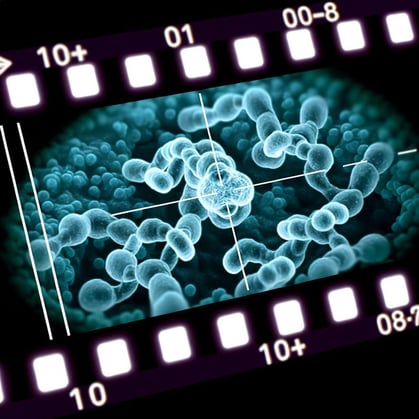 protein mAb formulation