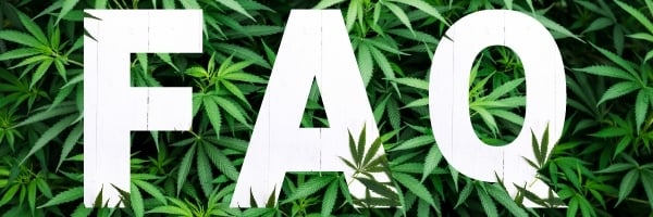 Cannabis FAQ