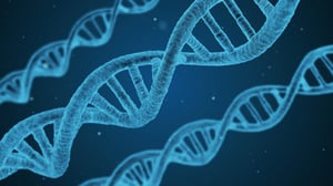 DNA page banner