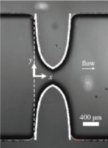 Extensional_Viscometer_Flow_Channel