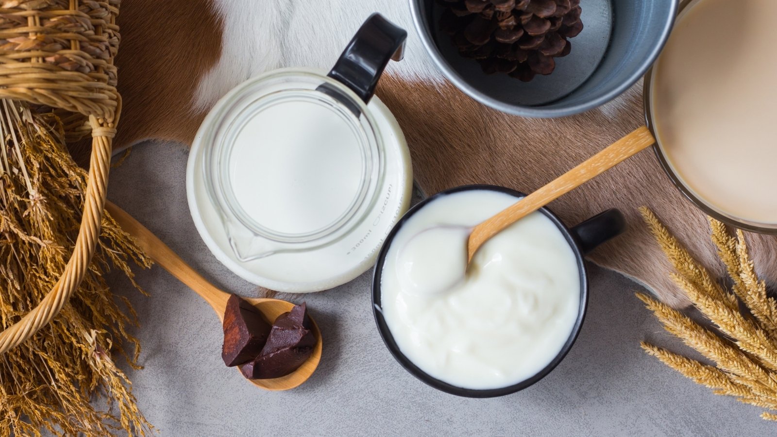 milk and yogurt
