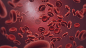 Blood Cells - Website Banner Image