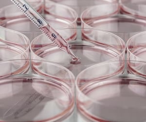 Cell Culture dishes