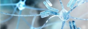 excipients for high conc biologics