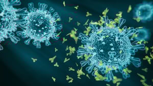monoclonal antibody 