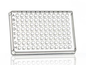 96 Well Plate