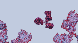 Protein Model Hero Image