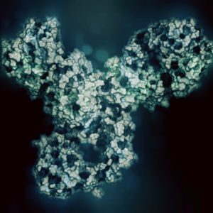 Antibody-Drug Conjugates-1
