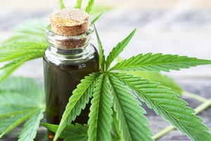 Cannabis with cannabis in vial-min