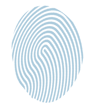 automatic viscometer for viscosity fingerprinting