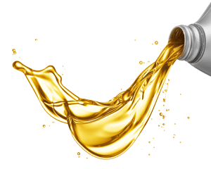 Oil (no bdg)