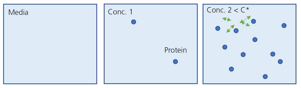 Protein Population in Accordance of Concentration