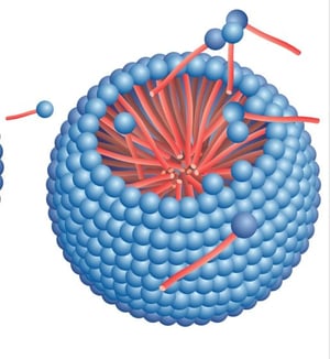 micelle formation