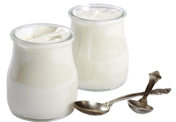 Yogurt Containers with Small Spoons-1