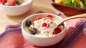 Yogurt with Berries Landscape Hero Image