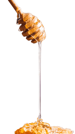 honey drip onto honeycomb