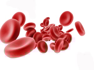 Blood_Photoshop