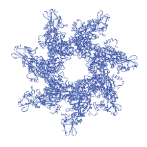 Protein(2)