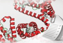 Proteins-and-small-samples