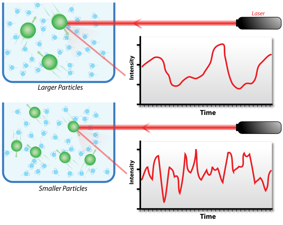 Characterizing mAbs with Viscosity & Dynamic Light Scattering