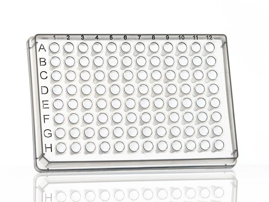 96 Well Plate