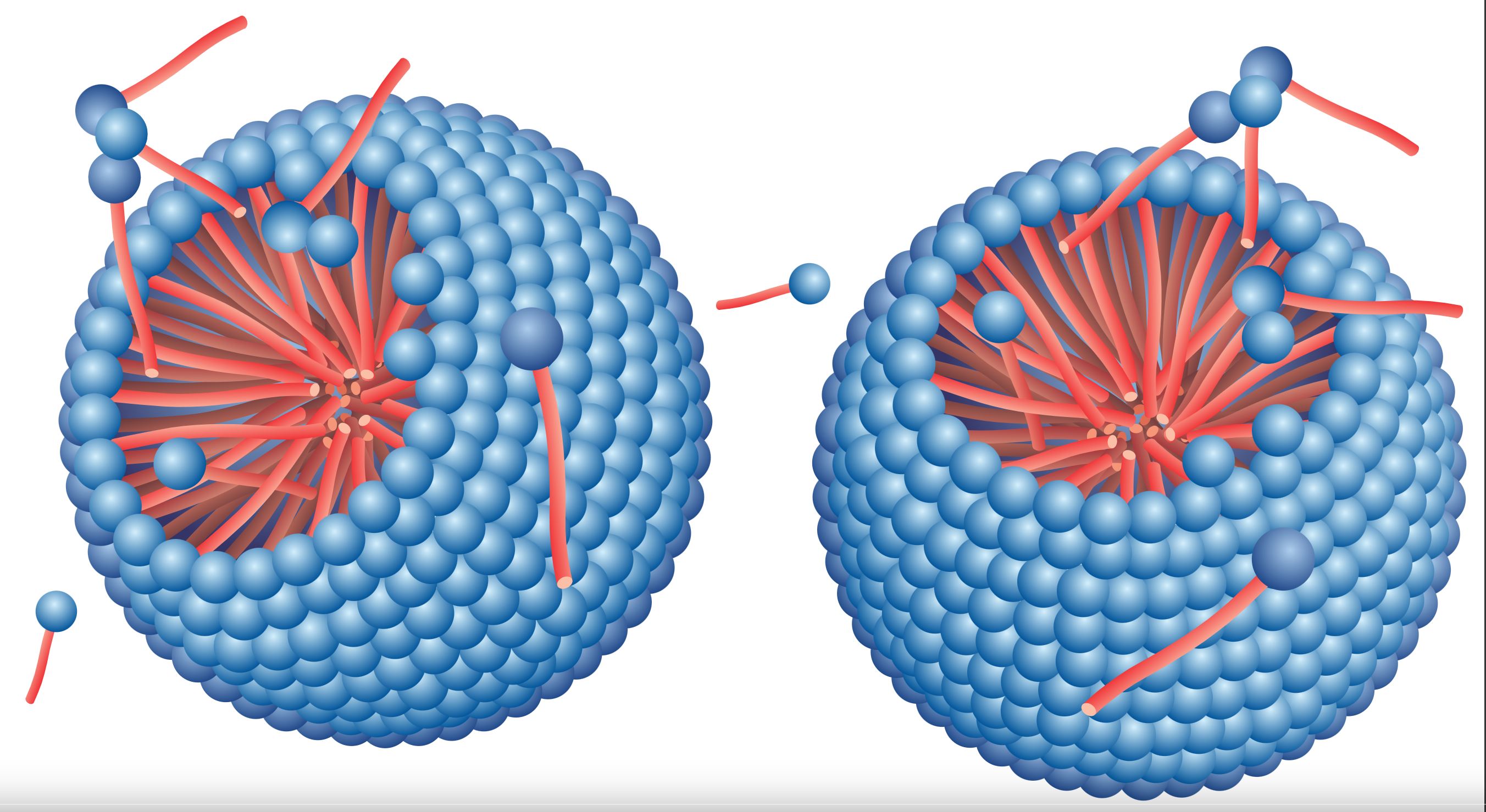 critical micelle concentration (CMC)
