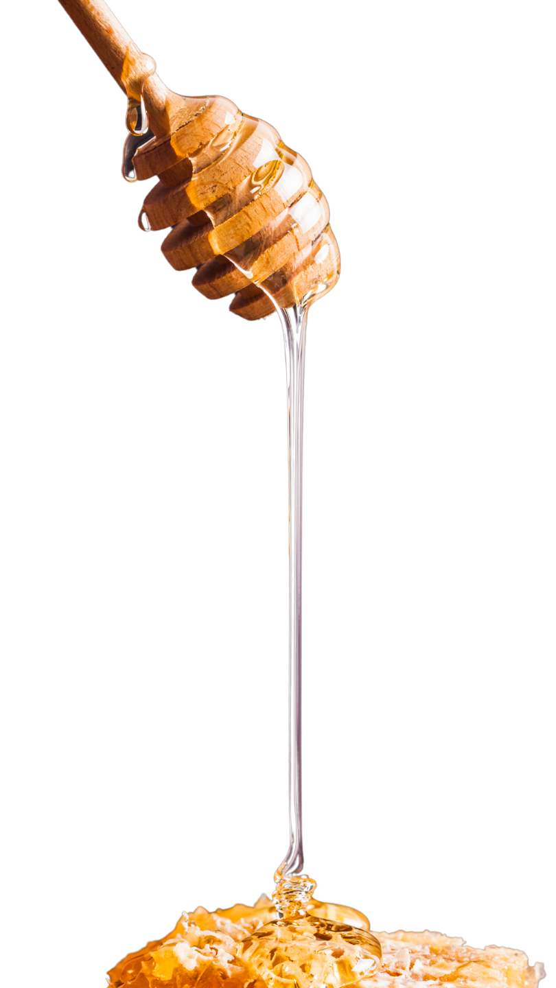honey drip onto honeycomb